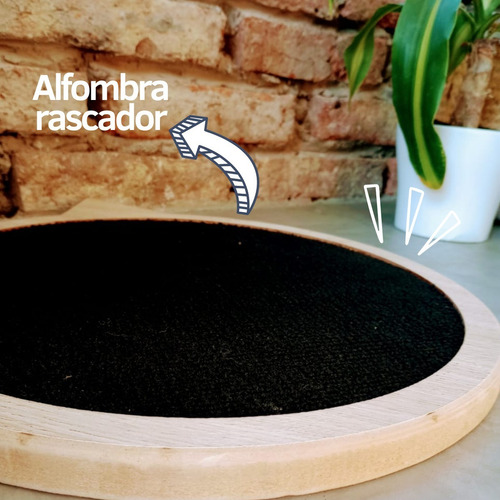 Imagen 2 de 9 de Rascador Para Gatos - Alfombra Rascador 35x35x2 Envío Gratis