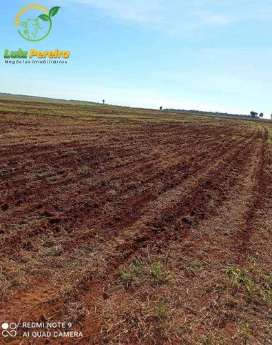 Imagem 15 de 15 de Fazenda À Venda Em Anaurilândia - Ms - (excelente Para Lavoura) - 1696