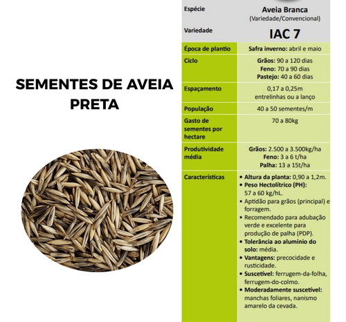 5kg Sementes De Aveia Preta - (variedade/convencional) - Embrapa 29 (garoa)