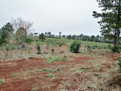Imagen 6 de 7 de Loteo Don Kurrle, Hermosos Terrenos En San Pedro, Misiones