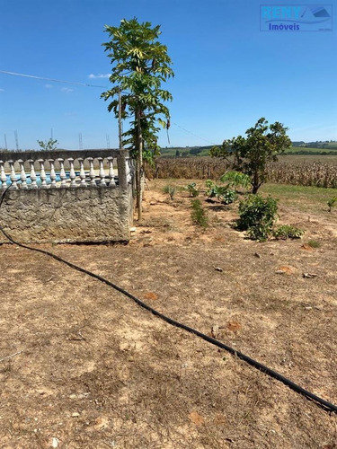 Imagem 10 de 29 de Sítios À Venda Em Sarapui/sp - Compre O Seu Sítios Aqui! - 1491019