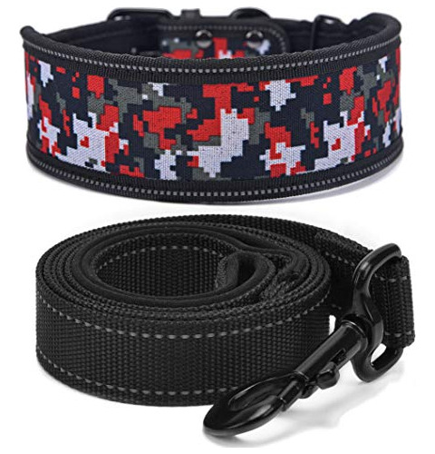 Deber Impreso Pesado Collar De Perro Correa 2 Anchura D...