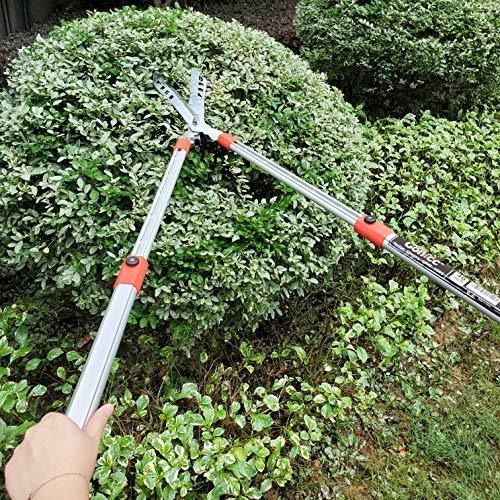 Tijeras De Seto Profesionales Gonicc 33puLG + 13puLG, Mango