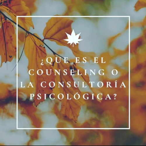 Consultora Psicológica (counselor)