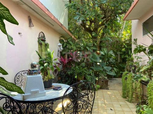 Imagen 20 de 30 de Casa En Venta En Avenida Colon Mérida Yucatán