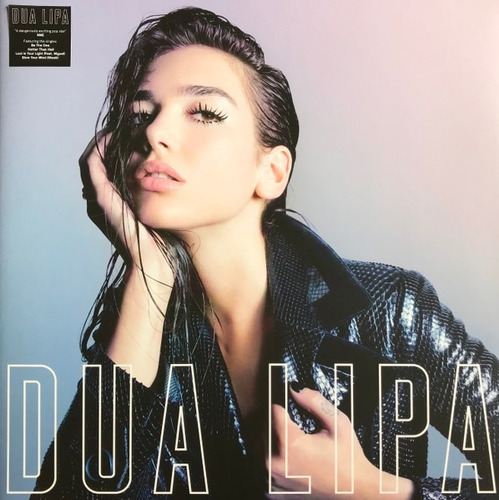 Dua Lipa Dua Lipa(vinilo) Ruido Microtienda.