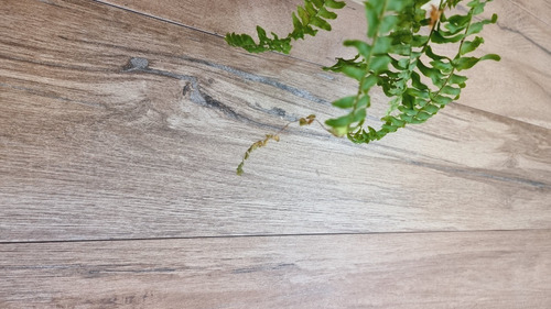 Porcelanato Simil Madera Rect. Alberdi 20x80 Madison Brown