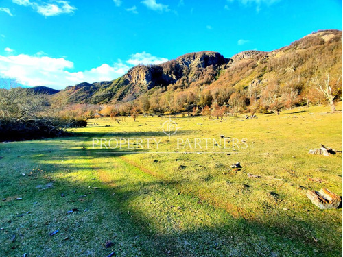 Patagonia, 471ha, El Faldeo, Cocharane