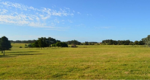 Campo En Venta