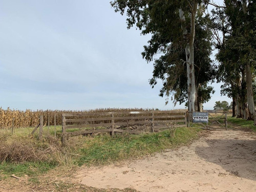 Imagen 14 de 17 de Venta- Campo De 82 Hectáreas En Goldney