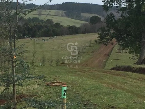 Parcelas Cerca De Osorno Desde $39.900.000 Sin Comisión
