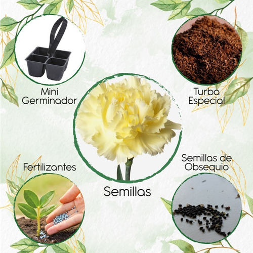 40 Semillas De Flor Clavel Amarillo+ Mini Kit De Germinación