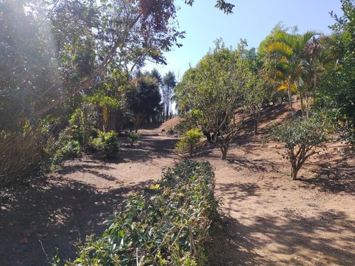 Imagem 25 de 28 de Chácara Ibiuna 4.700 Mts Casa,lago E Pomar Produzindo!!!!