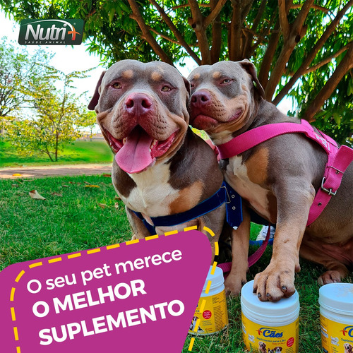 Vitaminas Caes Yorkshine Buldogue Frances Chihuahua 250g