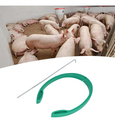 Inseminación Artificial Para Cerdos, Tamaño Ajustable, Forma