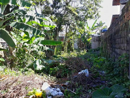 Imagem 2 de 3 de Terreno No Bairro Da Vista Alegre, A 800 Metros Da Praia. - V601