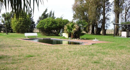 Imagen 2 de 13 de 77 Has - Chacra En Venta - Excelente Ubicación E Importantes Mejoras !!!