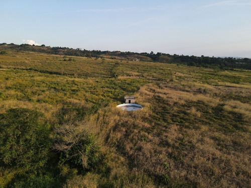 Imagen 20 de 24 de Granja En Venta Yaritagua 12 Hectareas Cod. 23-17577