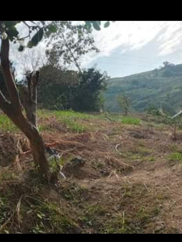 Imagen 2 de 4 de Vendo Terreno En Santa Catalina Del Chama Mérida 450mts