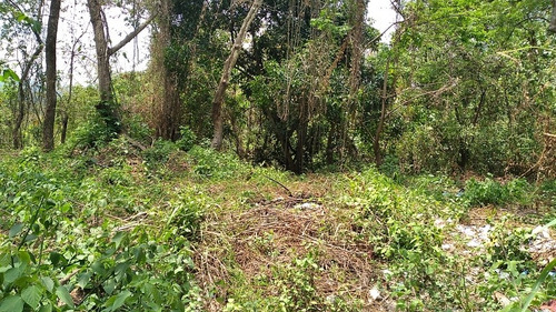 Imagen 7 de 8 de Vendo O Alquilo Bonito Terreno Para Proyecto Comercial