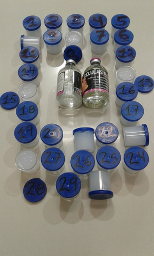 Ampolla Células Madre X110ml Para Cabello Seco Envió Gratis