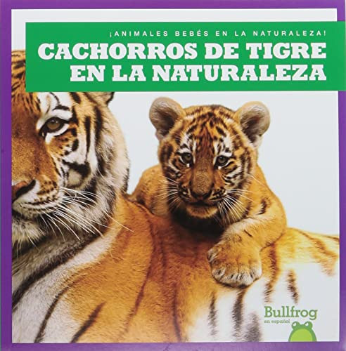 Cachorros De Tigre En La Naturaleza (tiger Cubs In The Wild)