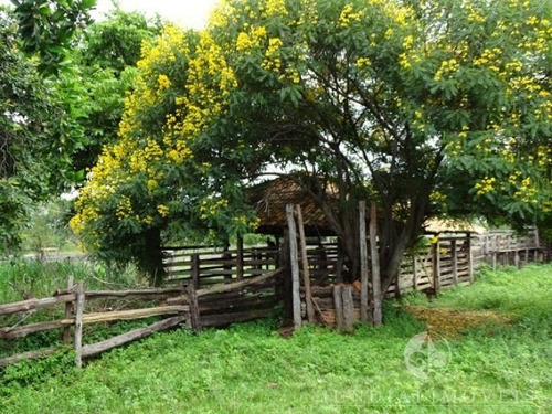 Imagem 9 de 30 de Vendo Ótima Fazenda Com 2337,00 Ha Em Buritizeiro, Norte De Minas Gerais, Gado E Cultura, Muita Água, Toda Formada. Documentação Ok. - Fa00004 - 4483814