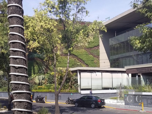 Oficinas Con Estilo Justo A La Medida De Tus Necesidades