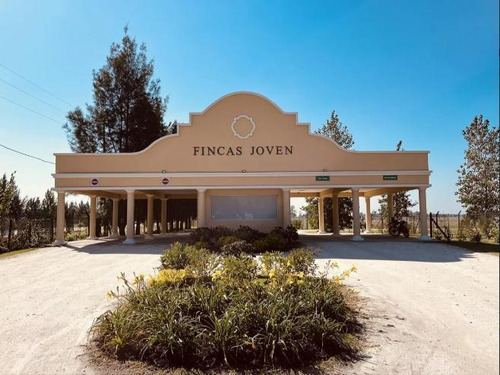 Lote En Venta En Barrio Fincas Joven, San Vicente.