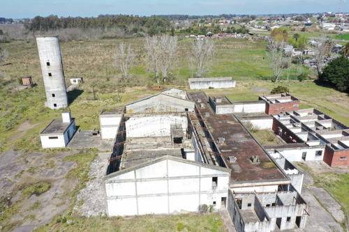 Planta Frigorifica Ex Proinco