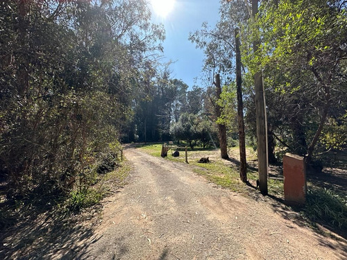 Complejo De Cabañas En Venta- Ocean Park (ref: Atm-7263)