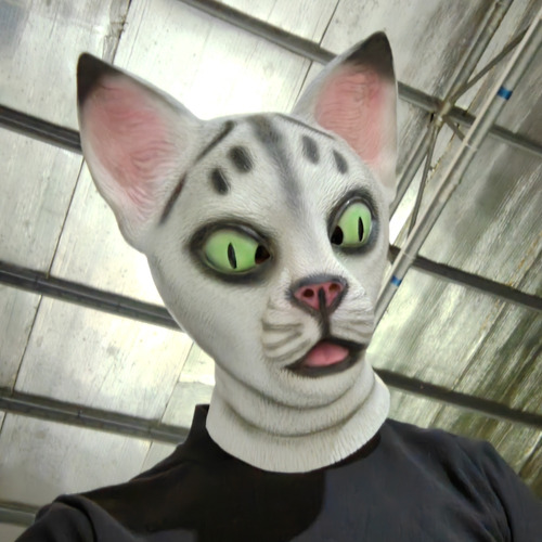 Máscara De Cabeza De Gato De Halloween, Divertida Y Linda Má