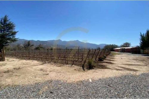 Oportunidad Venta De Campo, Viñedos - Curacaví