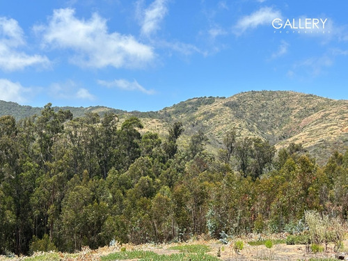 Soleado Terreno En Aguas Claras, Hijuela El Parque Cachagua