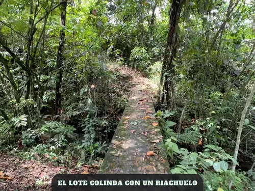 Ganga!!!, Lote En El Pie De Monte A Un Valor De Oportunidad