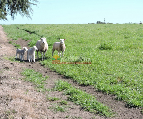 Campo En Venta 18 Has Canelones, Con Todas Las Instalaciones!
