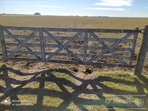 Imagen 2 de 21 de Dolores, 100 Has En Venta. Campo Ganadero Para Armar.