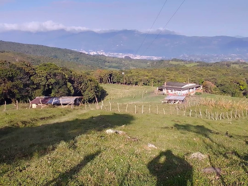 Imagen 4 de 7 de En Venta Finca Capacho Libertad 19.5 Has Ah