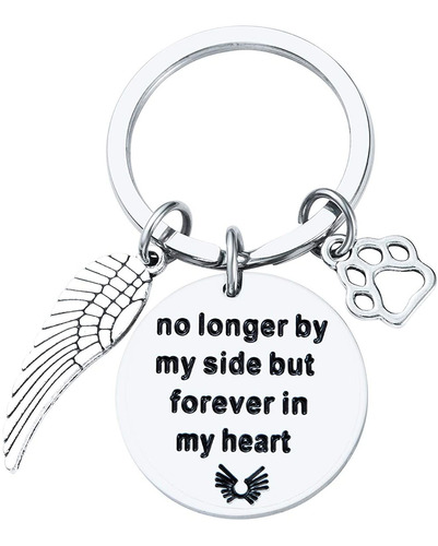 Sannyra Pet Memorial Gifts Llavero Joyeria Personalizada Re