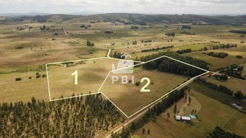 Imagen 3 de 29 de Chacra En Venta Las Vertientes 2 Dormitorios - Ref : Pbi106 - San Carlos Camino De Los Ceibos