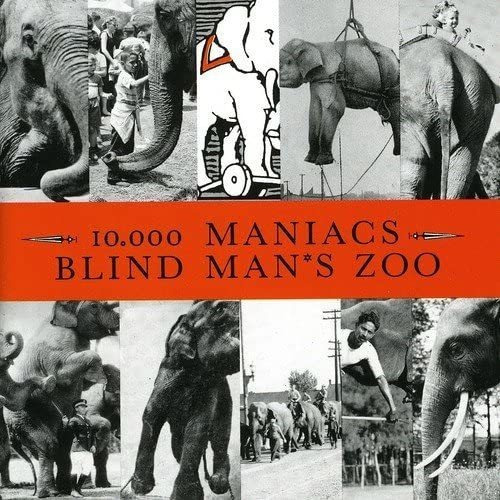 Cd: Blind Man S Zoo