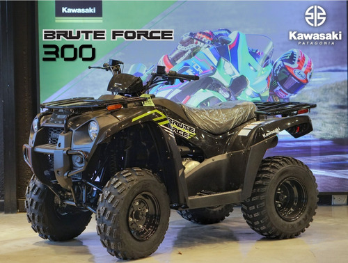 Imagen 9 de 25 de Kawasaki Brute Force 300 | Mall Don Bosco Motors