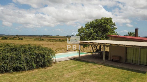 Imagen 7 de 29 de Chacra En Venta Las Vertientes 2 Dormitorios - Ref : Pbi106 - San Carlos Camino De Los Ceibos