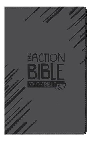 La Biblia De Accion Estudio Biblia Esv Gris