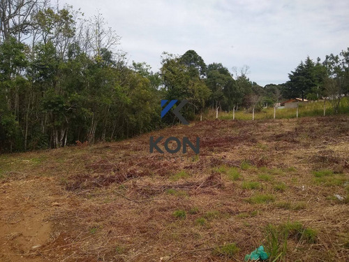 Imagem 8 de 16 de Chácara À Venda Em Contenda Pr. - Ch00001 - 68838246