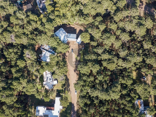 Imagen 3 de 12 de Lote En Venta - Alamos Ii Pinamar