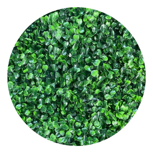Muro Verde Follaje Artificial Sinténtico 60x40 Cm 15 Planta Verde Musgo