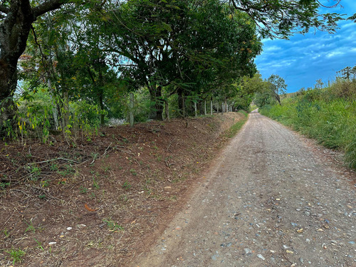 Sítio Terreno 42,000m2 Conchas Sp