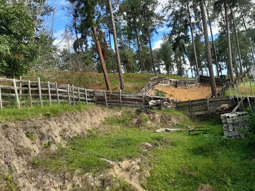 Imagen 3 de 14 de Finca En Venta En Bejuma