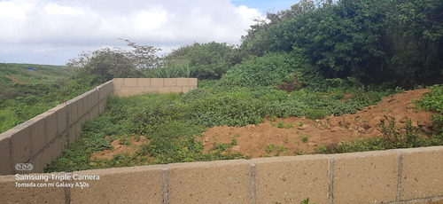 Imagen 5 de 6 de Venta De Terreno En El Municipio Del Crucero.